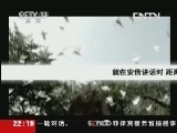 世界周刊 《世界周刊》 20130818