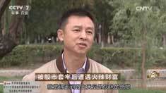 致富经 [致富经]被股市套牢后遭遇火辣财富 20161201