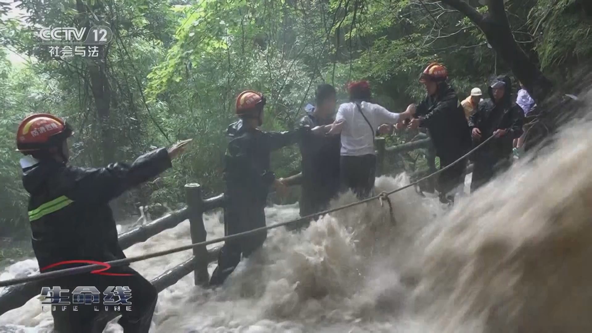 生命线 《生命线》 20241211