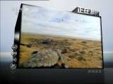 动物世界 动物世界 2011年 第79期