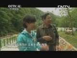 远方的家 百山百川行 第八十二集 秦岭 探访秦岭熊猫家园《远方的家》 20130826
