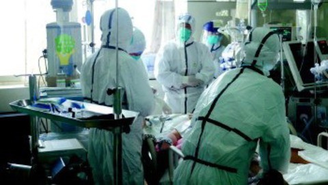 耳目一新 烟台出现H7N9患者专家正全力抢救