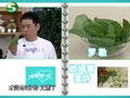我爱每一天 《我爱每一天》20110915：欧姆雷蛋饼
