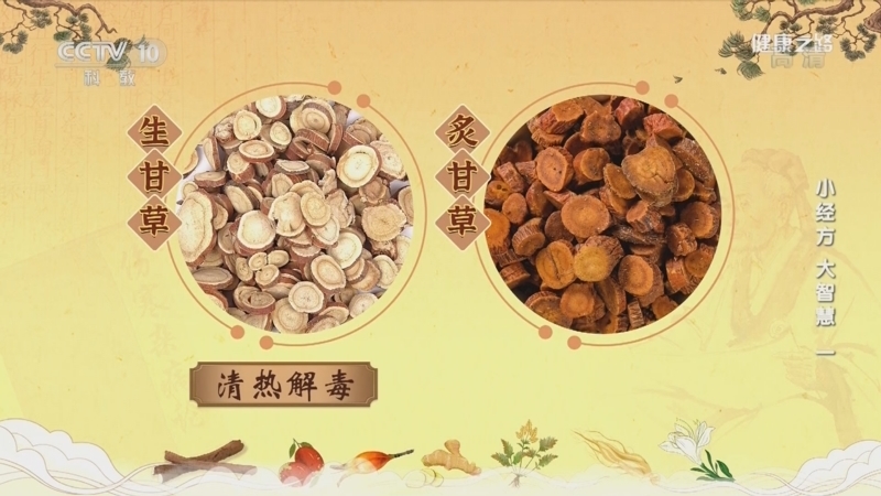 健康之路 《健康之路》 20220907 小经方 大智慧（一）