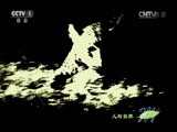 人与自然 《人与自然》 20141120 自然故事：玛拉玛拉的抗争-恐怖丛林