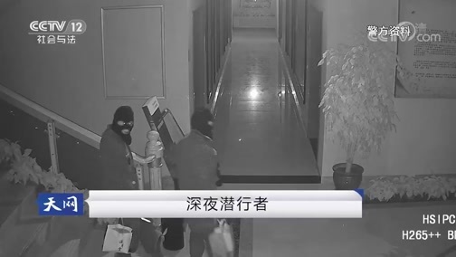 天网 《天网》 20190610 深夜潜行者