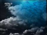 人与自然 《人与自然》 20110614 自然发现——南美野生世界（中）