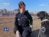 天网 《天网》 20180803 警犬成长记：飘洋过海遇见你