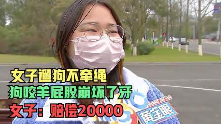 品人生百味第二季 女子遛狗不牵绳，狗咬羊屁股崩坏了牙，女子：赔偿20000