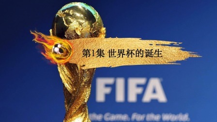 1930年世界杯：世界杯艰难诞生