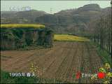 走近科学 七千年前的谜案 零口迷雾