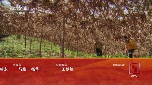 远方的家 《远方的家》 特别节目《大好河山》——三级阶梯看中国（5） 大地的馈赠 20181015