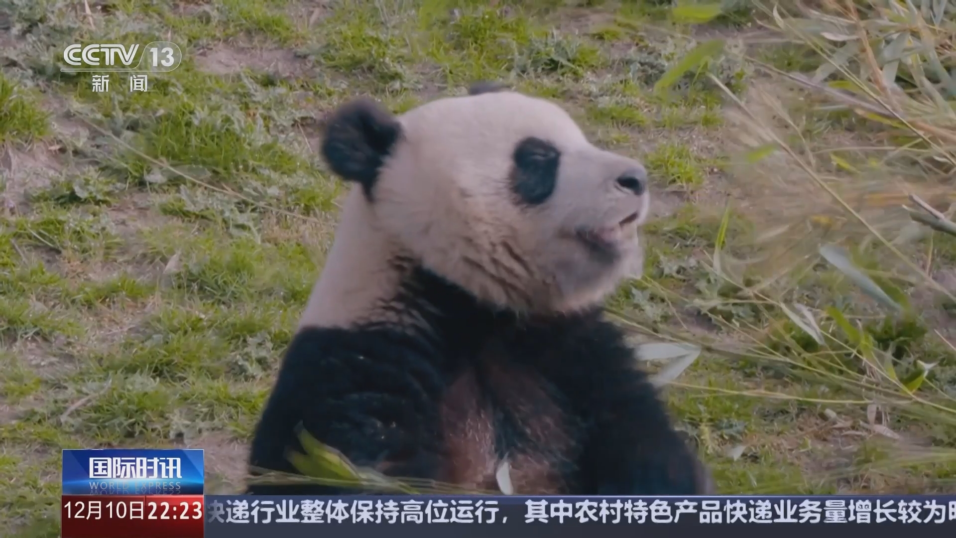 国际时讯 《国际时讯》 20241210