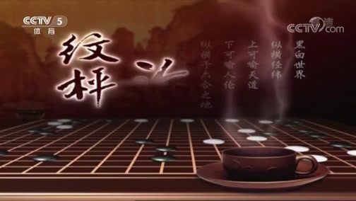 棋牌乐 [棋牌乐]20200304 柯洁VS赵晨宇