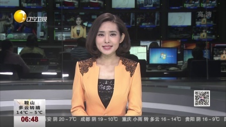 第一时间 为找钱包小题大做 六旬老太报“假案”真“违法”