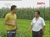生财有道 《生财有道》 20120202 变废为宝养大雁