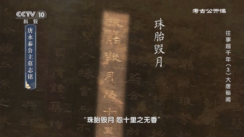 考古公开课 《考古公开课》 20241021 往事越千年（3）大唐秘闻