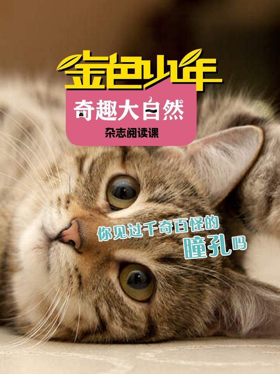 金色少年奇趣大自然：你见过千奇百怪的瞳孔吗