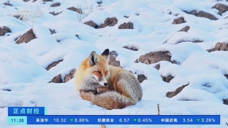 《正点财经》 20260113 11:00