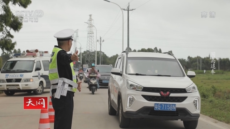 天网 《天网》 20220524 围岛追车