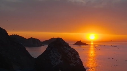 候鸟的旅行箱 夏至