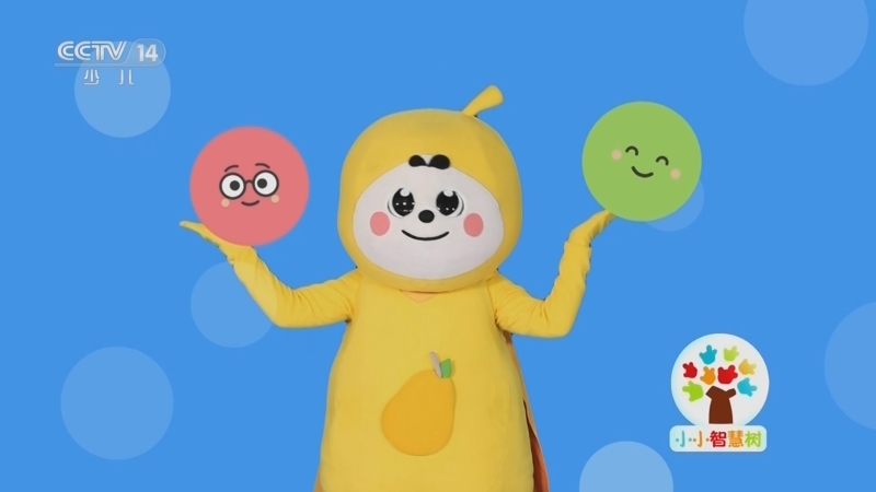 小小智慧树 《小小智慧树》 20230503