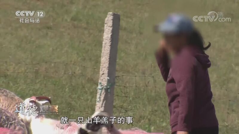 道德观察 《道德观察(日播版)》 20201108 沉默的羔羊