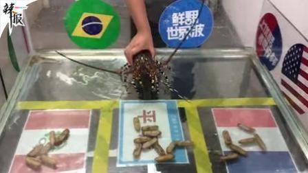 足球大虾瞎操心 法国对秘鲁哪个队胜？足球大虾瞎操心来预测
