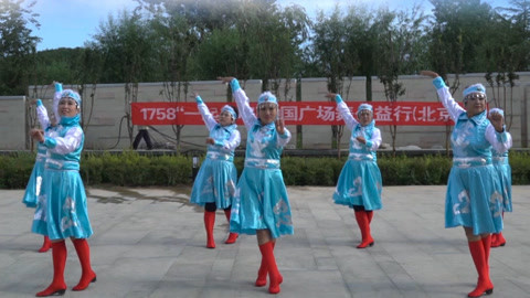 广场舞 广场舞《执子之手 与子偕老》