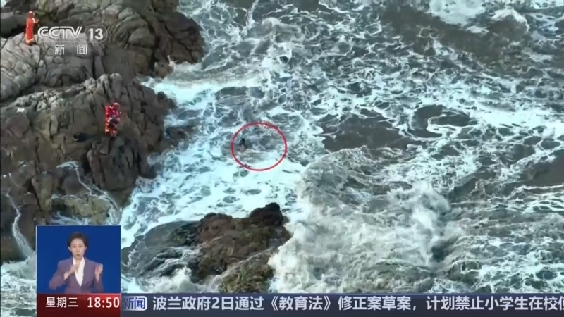 共同关注 《共同关注》 20260603