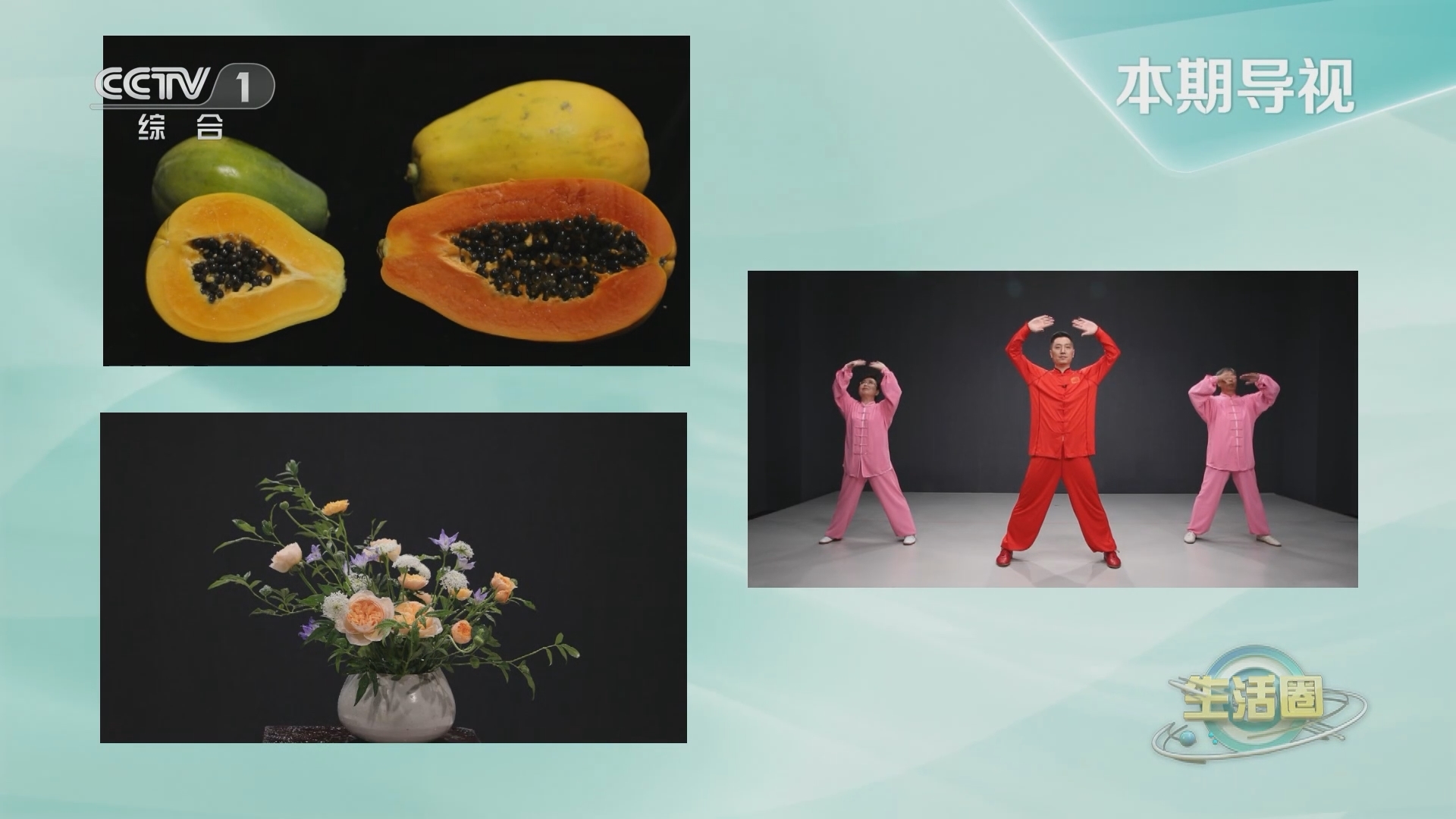 生活圈 《生活圈》 20231020