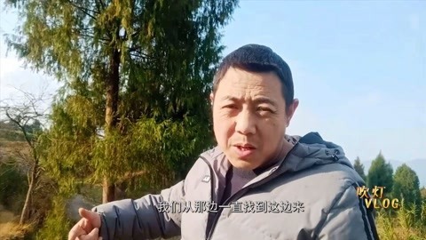 唱罢吹灯 四川人民都喜欢吃的折耳根，四川大叔只挖几颗，太神奇了