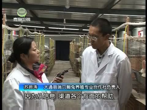 江源扫描 《江源扫描》 20140503 青春有梦 我心飞翔（上）