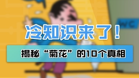 关于“菊花”的10个真相，你可能一个都不知道！