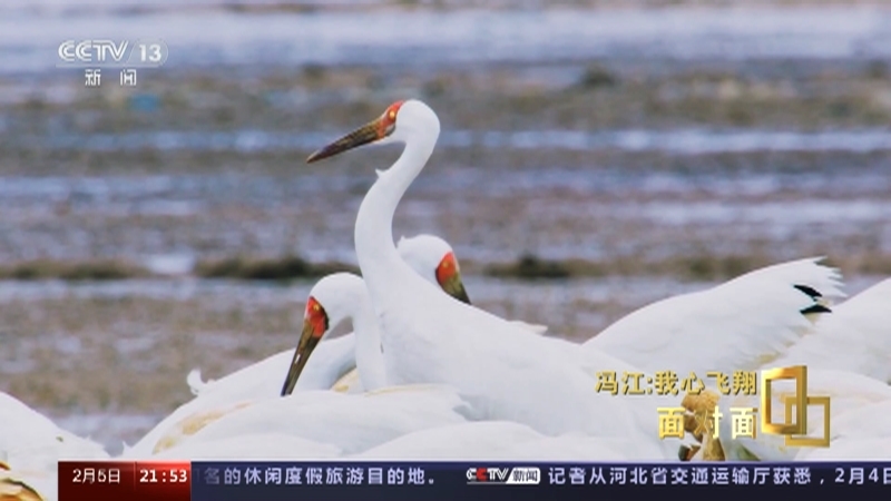 面对面 《面对面》 20230205