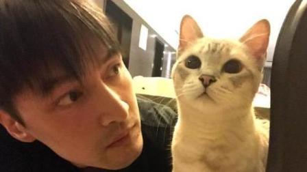 土豆娱乐快报 2018 1月 胡歌留学时自认猥琐 安排“眼线”求救 180129