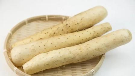 健康之路 山药是养胃佳品？经常吃山药能得到这些好处