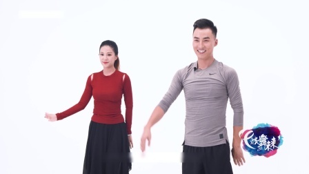 蝴蝶飞飞-饶子龙