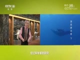 地理中国 《地理中国》 20170815 水下谜团·湖底袭击者（下）
