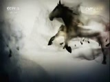 生财有道 《生财有道》 20170319 冰雪经济系列——雪乡里的冰雪财富 精编版