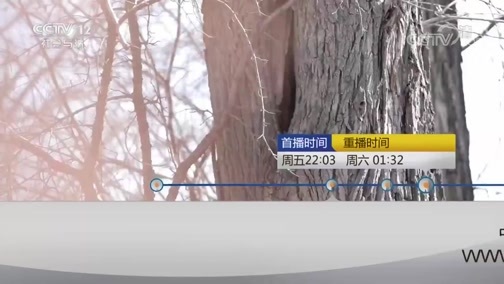 见证 《见证》 20190524 绿剑行动Ⅱ（一）冰雪下的紫貂皮