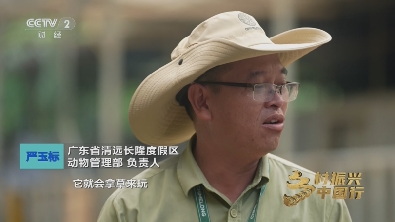 乡村振兴中国行第四季 《乡村振兴中国行》第四季 20250815 山水绘富路 和美筑家园