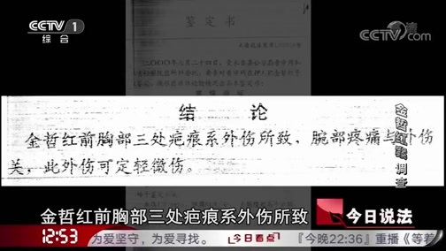 今日说法 《今日说法》 20190519 “金哲红案”调查