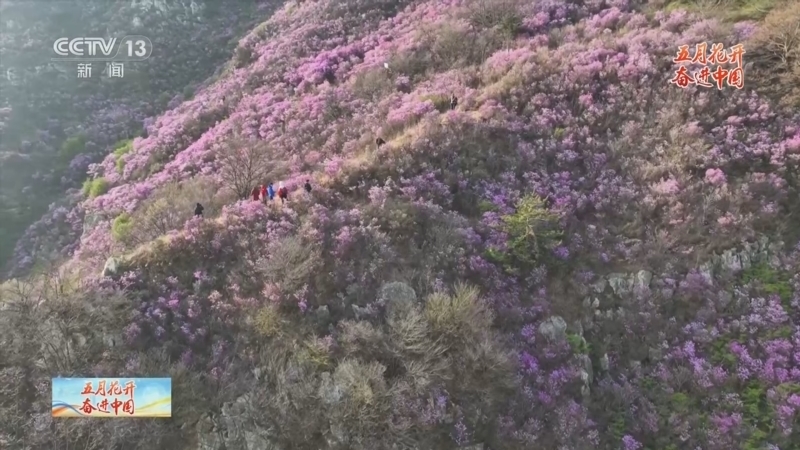 《五月花开 奋进中国》 20240504