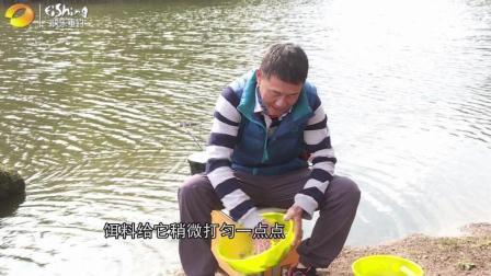 自游去钓 第一季 林凤鸣探钓虎园