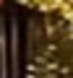 特别节目 追年十六城