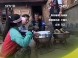 原来如此 《原来如此》 20151004 深入蜂穴