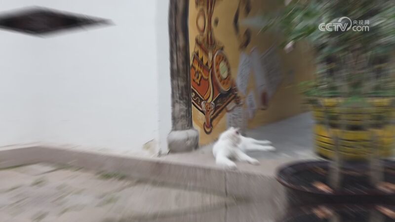 黎里特别推荐奖《守住时光的古镇》