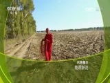 走近科学 《走近科学》 20170502 能源新说