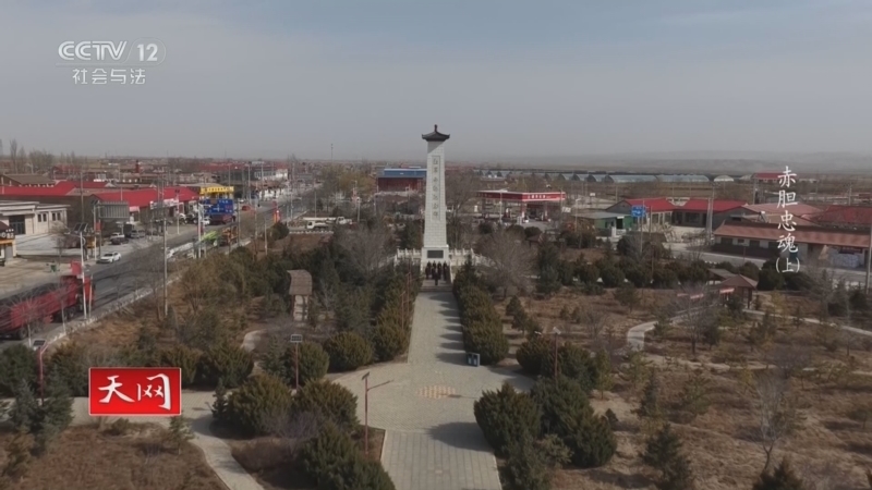 《天网》 20260403 赤胆忠魂 第二季(上)